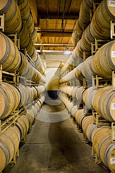 Wine Barrels