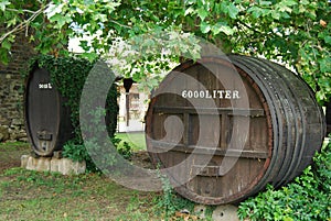 Wine barrels