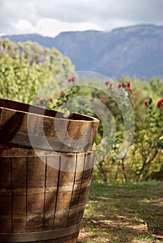 Wine barrels.