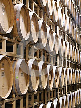 Wine Barrels