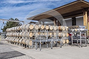 Wine barrels