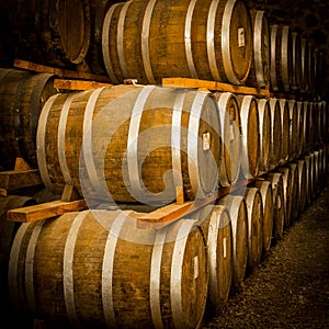 Wine barrels