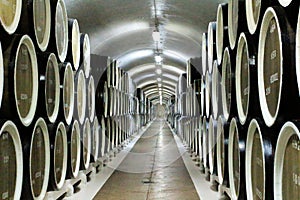 Wine barrels