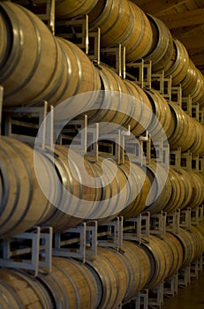 Wine Barrels