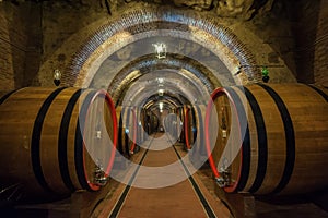 Wine barrels (botti) in a Montepulciano cellar, Tuscany photo