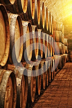 Wine barrels in cellar