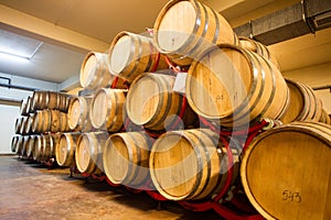 Wine Barrels Cellar Bulgaria