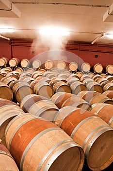 Wine barrels in cellar. Cavernous wine cellar with stacked oak b