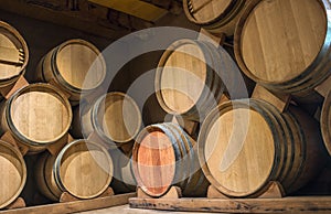 Wine barrels in Cellar of Syrah, Elqui Valley, Andes, Chile