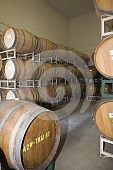 Wine Barrels In Cellar Of Winery