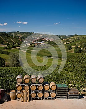 Wine barrels in Italy