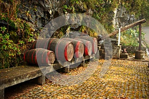 Wine barrels. Madeira photo