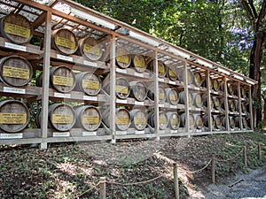 Wine Barrels at Meiji JingÅ« Srine, Tokyo, Japan