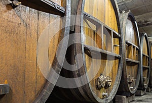 Wine barrels in the old cellar