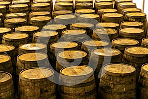 Wine barrels on old cellar