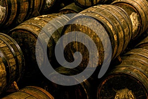 Wine barrels on old cellar