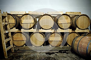 Wine barrels in the old cellar