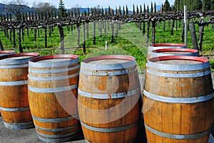 Wine Barrels Outside Napa