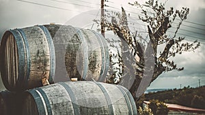 Wine barrels for about plant in Cyprus Europe