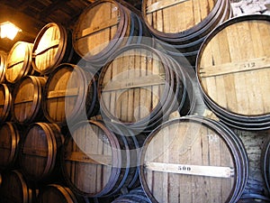 Wine barrels for port Douro Valley winelands Portugal