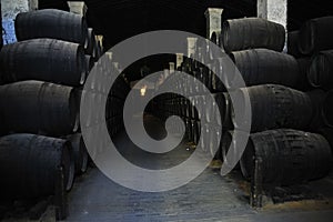 Wine barrels
