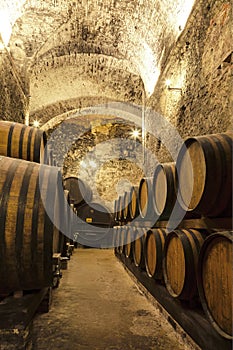 Wine barrels stacked in the old cellar