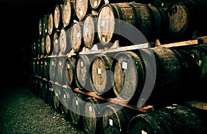 Wine barrels stacked in the old wine cellar