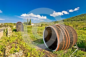 Wine barrels on Stari Grad plain