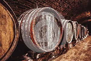 Wine barrels in wine-vaults in order