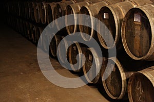 Wine barrels in Vineyard cellar