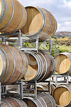 Wine barrels at vineyard