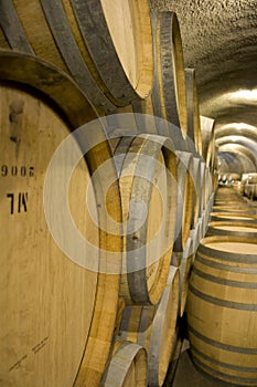 Wine barrels in wine cellar