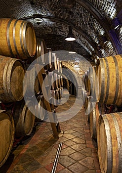 Wine barrels in wine-vault