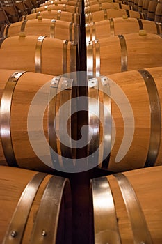 Wine barrels in wine-vault