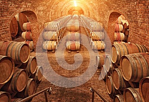 Wine barrels in wine-vaults