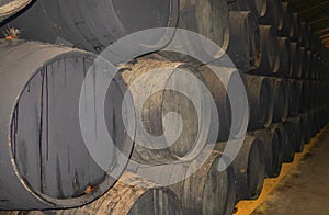 Wine barrels in wine-vaults in order