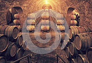 Wine barrels in wine-vaults in order