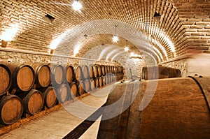 Wine barrels in winery basement.