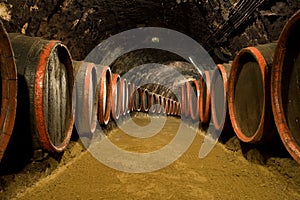 Wine barrels in winery cellar