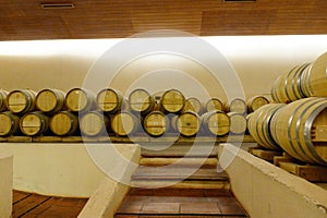 Wine barrels at the winery `Concho y Tora`.