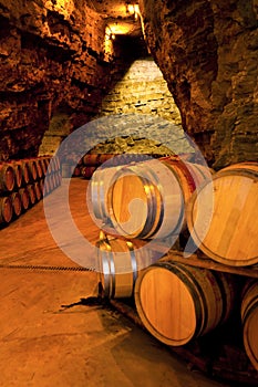 Wine barrels in a winery, France