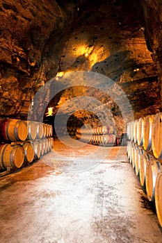 Wine barrels in a winery, France