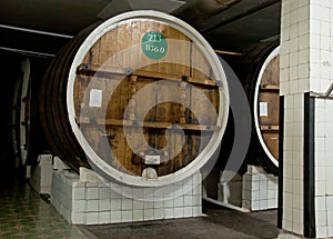 Wine in big wooden barrels in Massandra winery, Yalta, Crimea