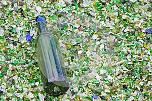 Wine Bottle on a Bed of Glass