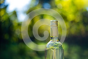 Wine bottle with blur background in vineyard, Hungary