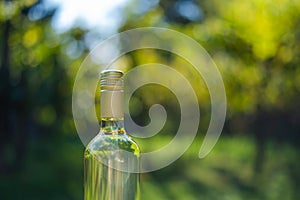 Wine bottle with blur background in vineyard, Hungary