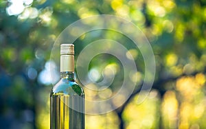 Wine bottle with blur background in vineyard, Hungary