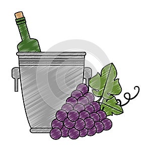 wine bottle in bucket and grapes