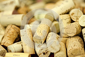 Wine bottle corks