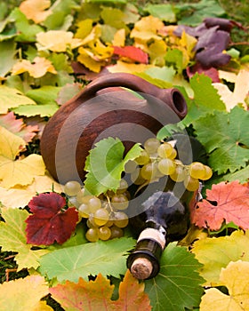 Wine bottle, crock and grape